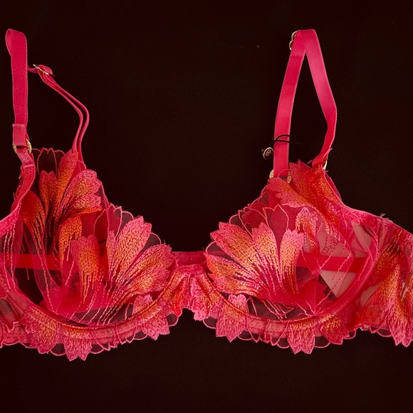 CLEARANCE $1̶4̶0̶ RARE BLUEBELLA Victoria’s Secret Floral Embroidery Bra & Panty - Picture 3 of 6